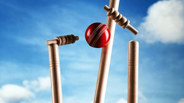 Cricket Ball Hitting Stamps