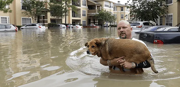 Flood Victim in Louisiana